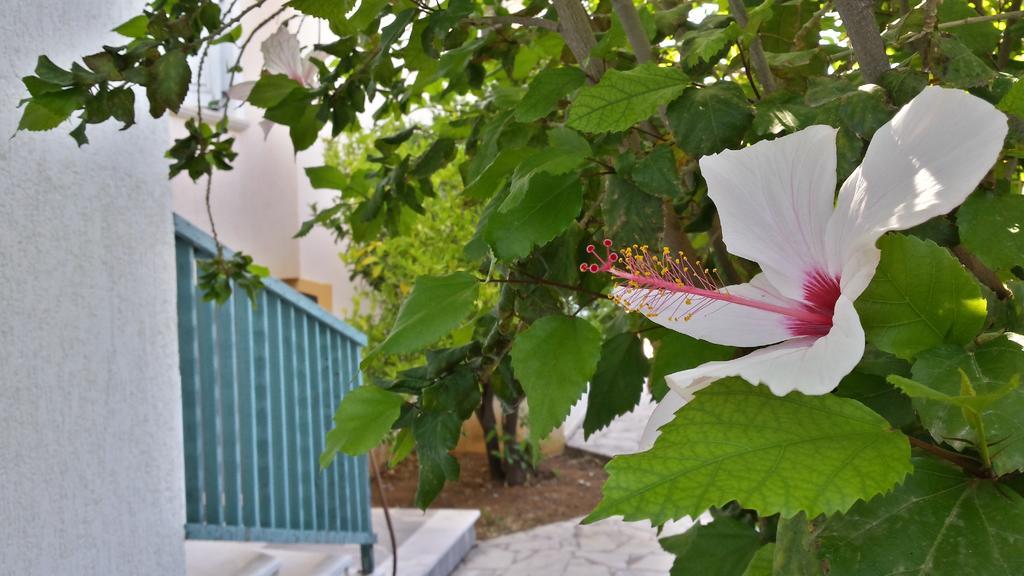 Amazones Village Suites Hersonissos  Luaran gambar